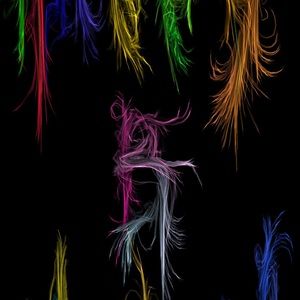 Meet your Posher, Camrie